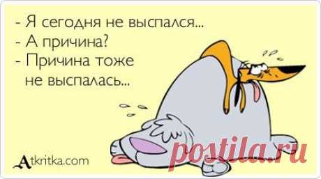 Утром хорошо просыпается только сахарный песок мимо чашки. | Крутой облом