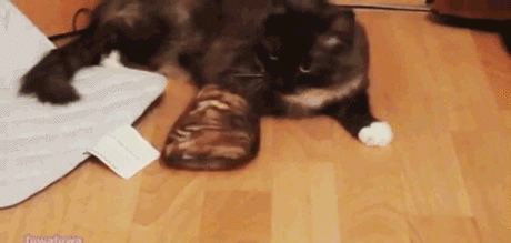 Мой Мир@Mail.Ru