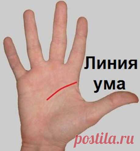 Научись гадать по руке самостоятельно! Цыганка не понадобится… — Копилочка полезных советов