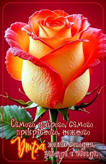 С добрым утром Привет Здрасте