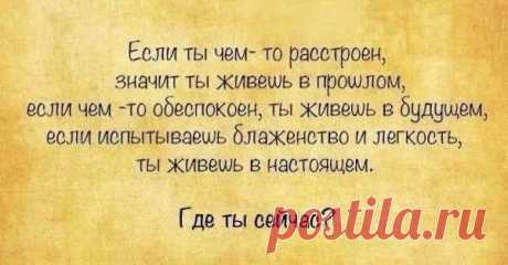 Новости