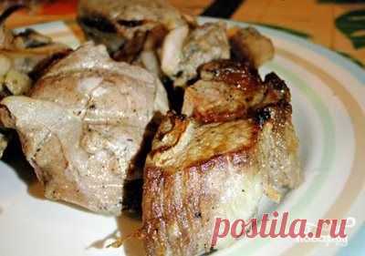 Куриный шашлык в микроволновке - пошаговый кулинарный рецепт на Повар.ру