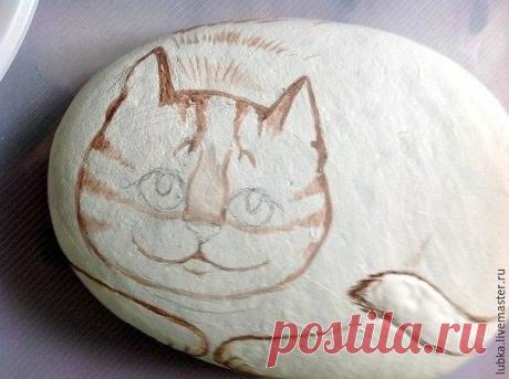 ​Котики на камушках