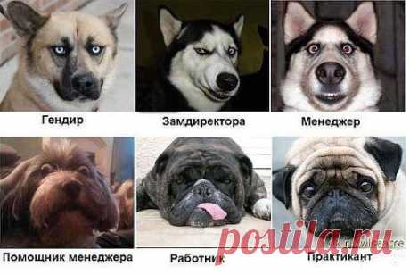 Мой Мир@Mail.Ru