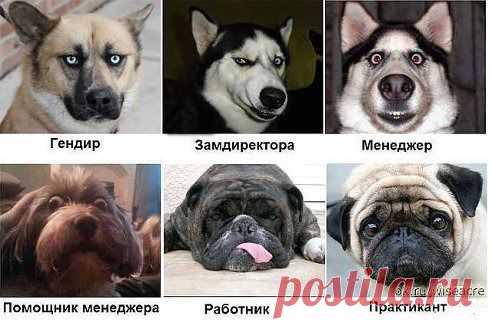 Мой Мир@Mail.Ru