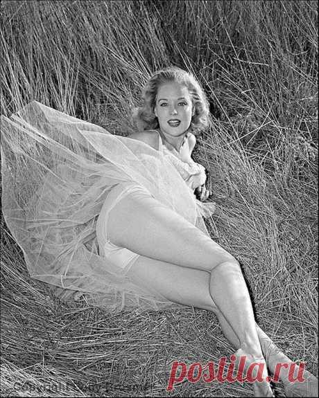 Бетти Бросмер — обладательница самой шикарной фигуры 50-х годов