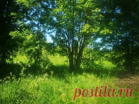 #1029. Малое Плутково. Участок 18 соток (:1048) под ИЖС вблизи Нерли.