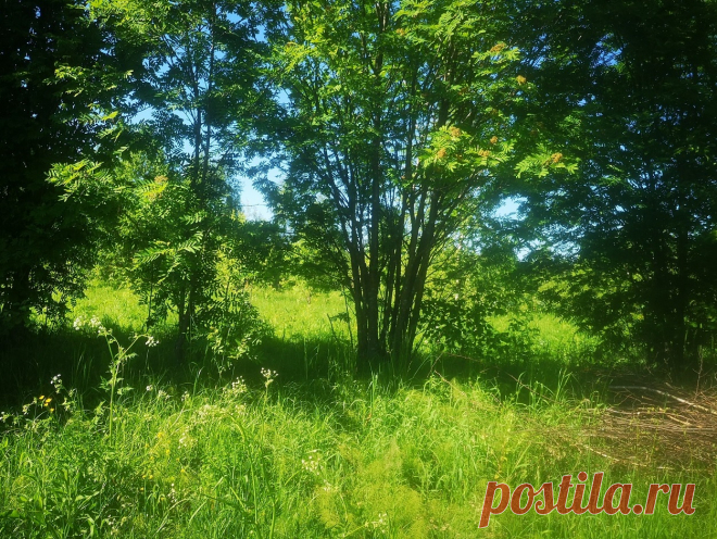 #1029. Малое Плутково. Участок 18 соток (:1048) под ИЖС вблизи Нерли.