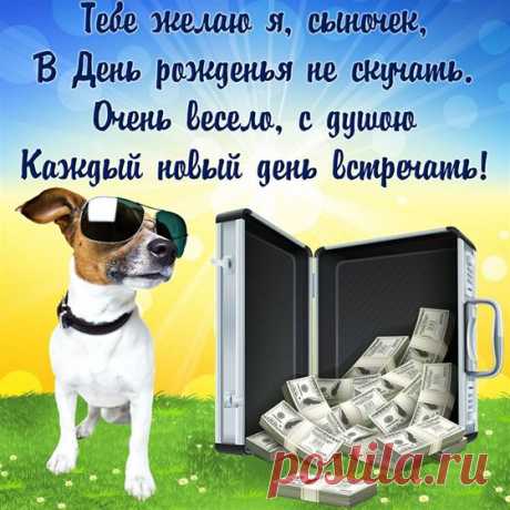 Прикольная открытка сыну с собакой и кейсом 2024