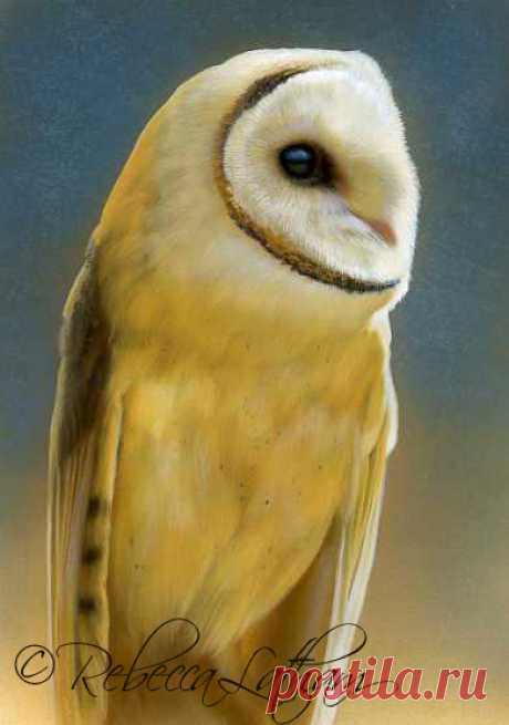 Блог | Картины дикой природы и природы Ребекки Лэтэм