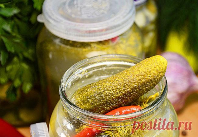 Огурцы на зиму без уксуса и кипятка: хрустят уже через несколько дней