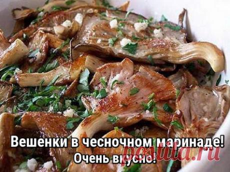 Вешенки в чесночном маринаде