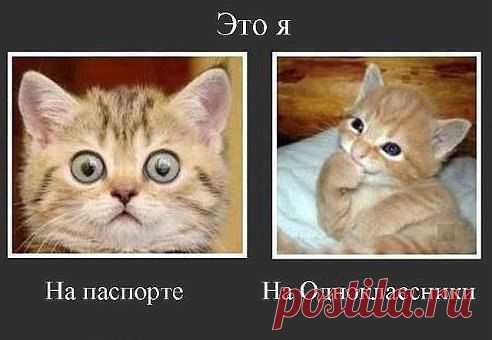 Интересные новости