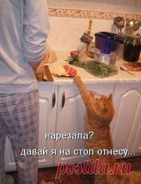 Помощничек
