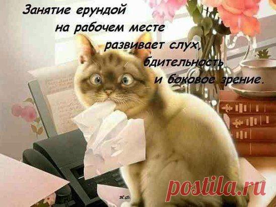 Одноклассники