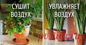 AdMe — Творчество. Свобода. Жизнь.