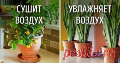 AdMe — Творчество. Свобода. Жизнь.