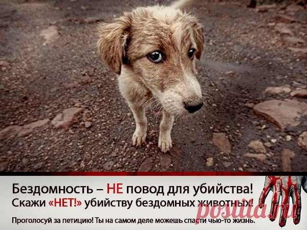 Анастасия-Александровна Разумовская-Волкова