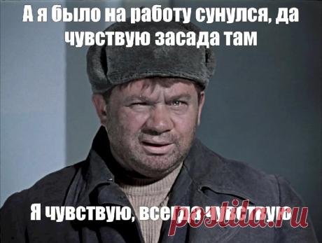 465f0325.jpg (1024×773)