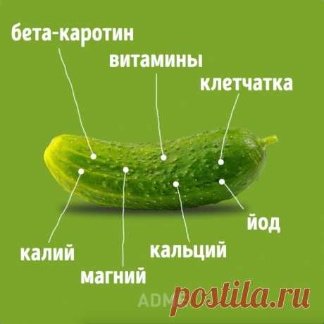 чем полезны огурцы