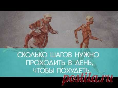 Похудение для тех, кому лень: Основные правила