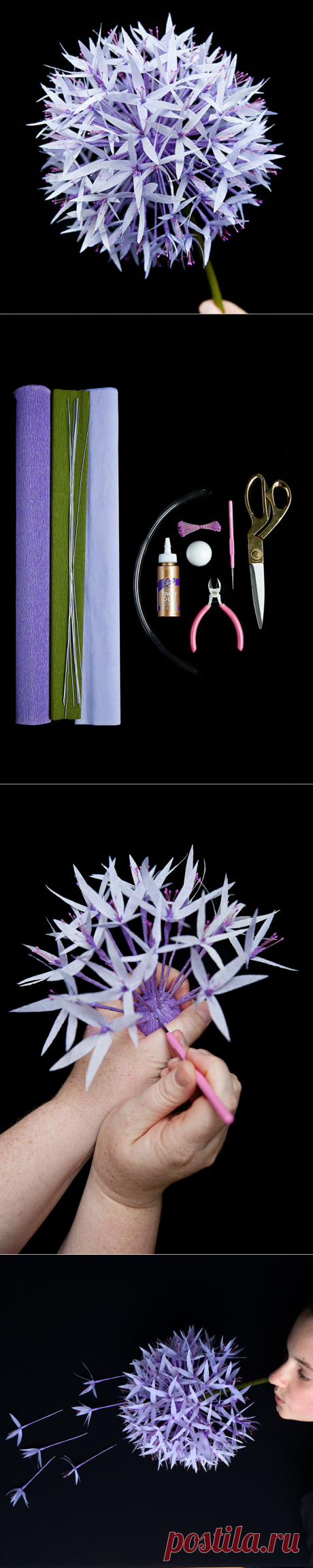 Paper Allium Tutorial | Design*Sponge