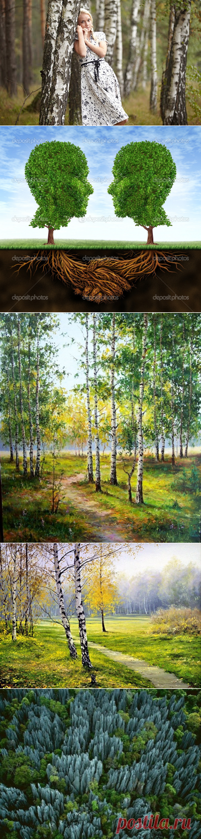 ДЕРЕВЬЯ ЛЕЧАТ