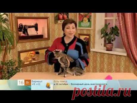Одёжка для кота или кошки..