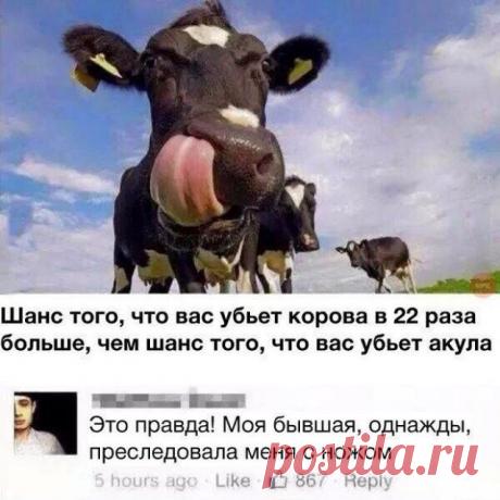 Немного черного юмора - Нет скуки.ру. Юмор, приколы, смешные картинки и разные интересности..