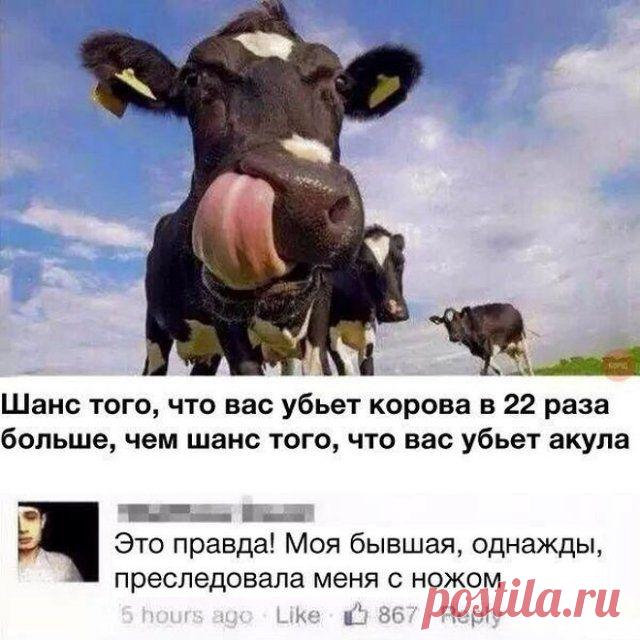 Немного черного юмора - Нет скуки.ру. Юмор, приколы, смешные картинки и разные интересности..