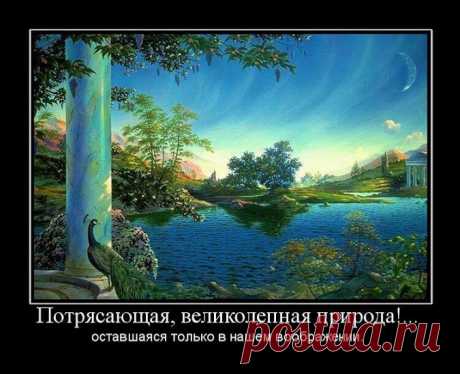 Так много смысла – Сообщество – Google+