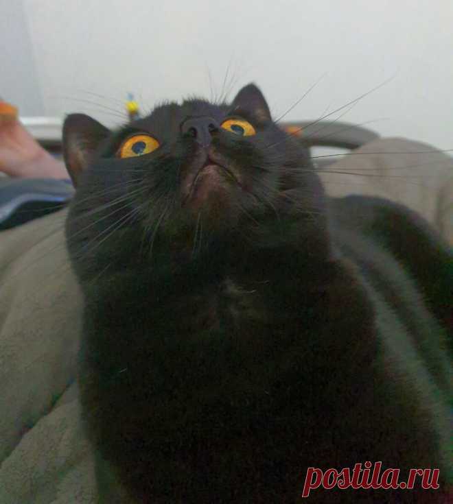 Интервальное голодание 16 на 8? 4 день??Ночка была та ещё??