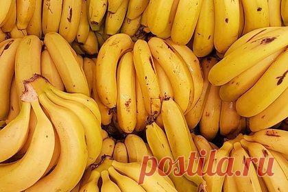 Врач назвал способ есть бананы и худеть. Хирург Каран Радж посоветовал тем, кто хочет похудеть, есть недозрелые бананы. Он объяснил, что в зеленых плодах содержится резистентный крахмал, принцип действия которого в организме похож на работу пищевых волокон. Еще резистентный крахмал не увеличивает концентрацию глюкозы в крови и имеет низкую калорийность.