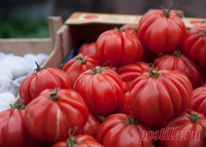 Продукт, способствующий долголетию