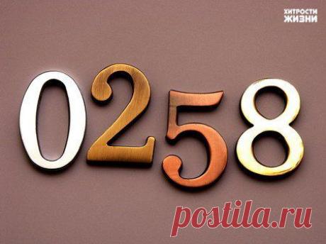 ЧТО СКРЫВАЕТ НОМЕР ВАШЕЙ КВАРТИРЫ?.