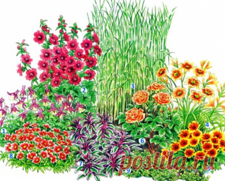 Планы и схемы цветников из многолетников — готовые решения для гармоничных композиций
