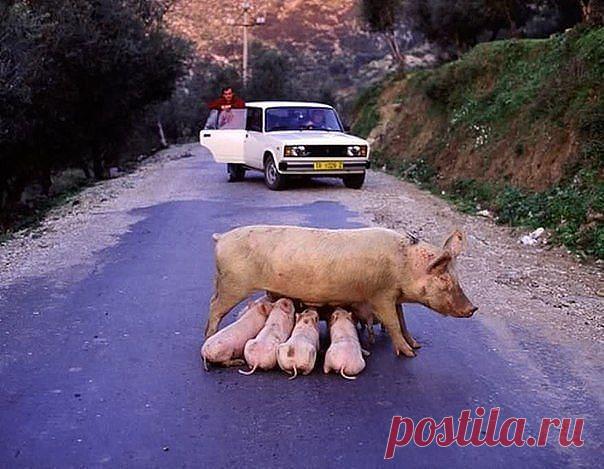 (76) Одноклассники