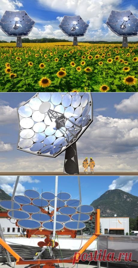 Фотоэлектрические подсолнухи от IBM производят электричество и воду