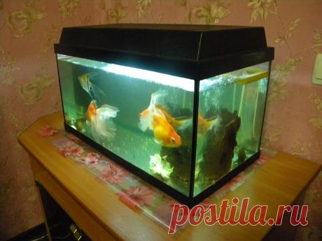 Калькуляторы аквариумов