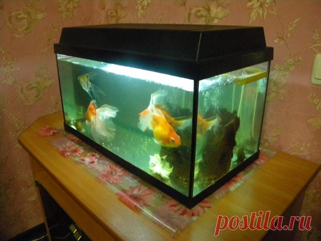 Калькуляторы аквариумов