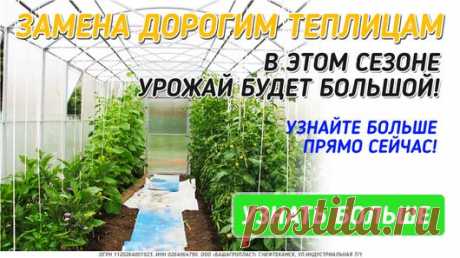 Мой Мир@Mail.Ru