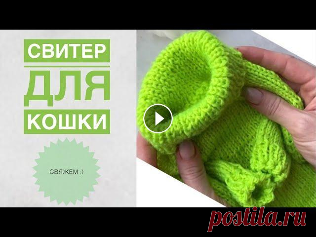 Свитер для кошки / Как связать свитер для кошки / Вязаная одежда для питомцев / Вязаный свитер Свитерок для среднестатической кошечки ) Подписывайся, чтобы не пропускать новые видео. Будем вязать вместе) Свитер для кошки / Как связать свитер для...
