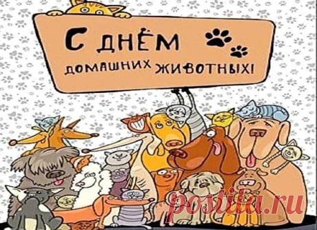 Во Всемирный день домашних животных желаю всем, у кого есть питомцы, больше теплых объятий, мягких шерстяных бочков под боком и радостных хвостов на встречу! Открытки на День домашних животных!