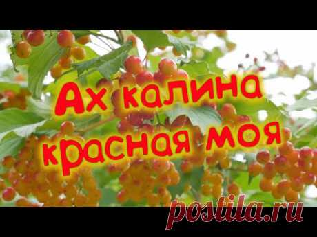 Эту песню вы будете слушать снова и снова Сергей Одинцов - Ах калина красная моя
