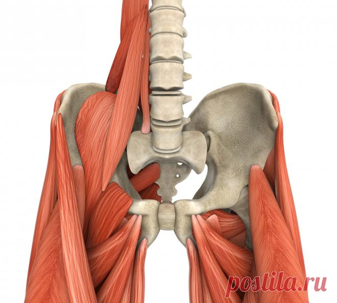 Эндопротезирование шейки бедра в Германии. Сложное повреждение шейки бедра, не позволяющее провести успешную репозицию (хирургическое восстановление нарушенной структуры кости), еще в недавнем прошлом рассматривалось как сложнейший и практически безнадежный ортопедический случай.