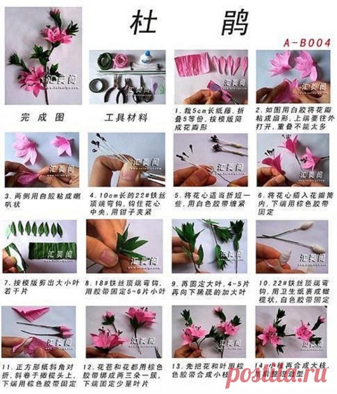 [Ян бумаги учебник ...... _ изображения из пены -mo акцию - куча сахара