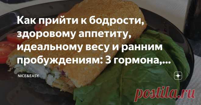 Как прийти к бодрости, здоровому аппетиту, идеальному весу и ранним пробуждениям: 3 гормона, ответственных за качество нашей жизни Статья автора «Nice&Easy» в Дзене ✍: Всем привет!  Сегодня утром я заказывала кофе и обратила внимание на женщину, стоявшую в очереди передо мной.  Поняла, что в общем-то не удивляюсь, но не хочу так.