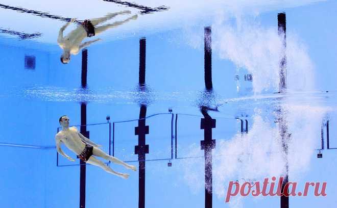 World Aquatics назвала ошеломляющим результат синхрониста Мальцева на ЧМ. Россиянин Александр Мальцев победил в технической программе соло