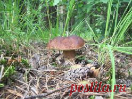 Июль. Народные праздники и приметы июля. | Советы Народной Мудрости