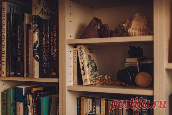 ТОП-10 книг, прочитав которые, человек навсегда перестает жить 
